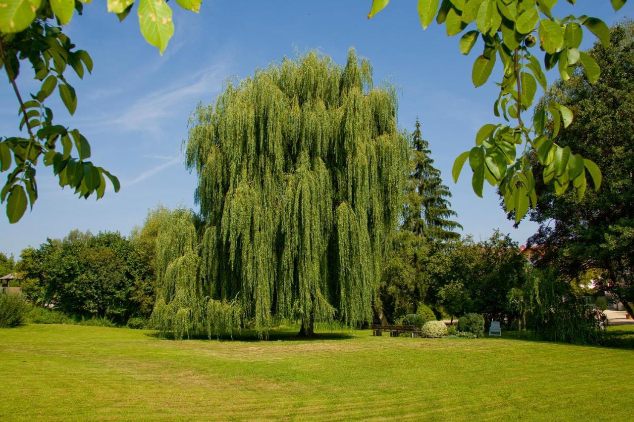 Schoenenberger Hof Orsingen-Nenzingen Экстерьер фото