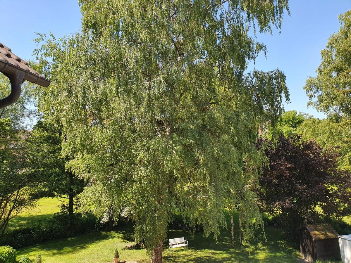 Schoenenberger Hof Orsingen-Nenzingen Экстерьер фото